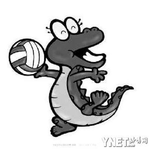 會跳舞的古茶樹，老烏山普洱茶口感特點